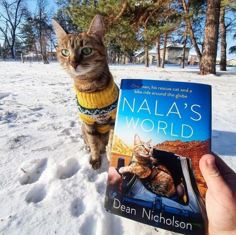 Cómo un gato y su hombre circunnavegan el mundo en una bicicleta Cómo un gato y su hombre circunnavegan el mundo en una bicicleta