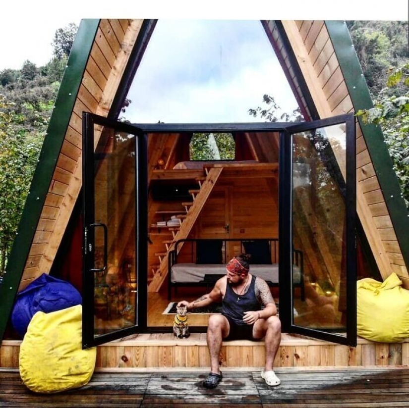 Cómo un gato y su hombre circunnavegan el mundo en una bicicleta Cómo un gato y su hombre circunnavegan el mundo en una bicicleta