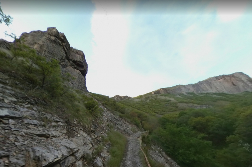 Cómo una mujer americana perdida sobrevivió durante seis meses en las montañas, comiendo hierba y musgo Cómo una mujer americana perdida sobrevivió durante seis meses en las montañas, comiendo hierba y musgo