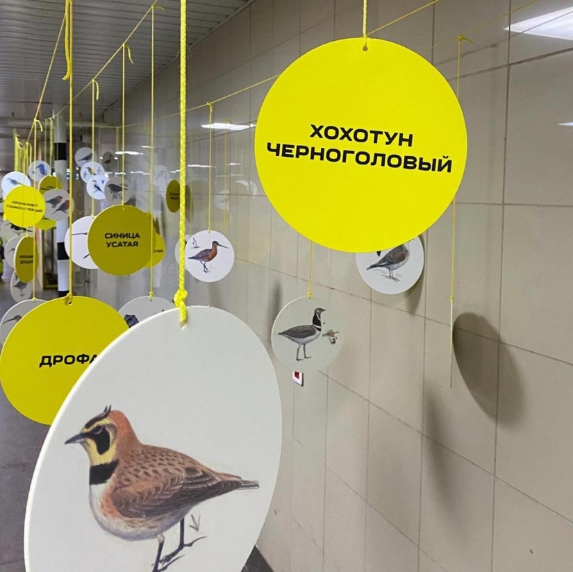 ¿Cómo utilizan los residentes de Omsk su única estación de metro? ¿Cómo utilizan los residentes de Omsk su única estación de metro?