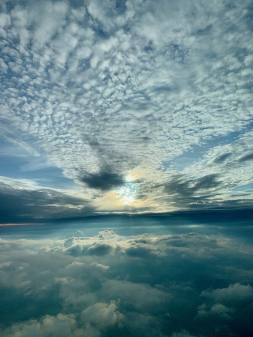 Contest "Love to Fly" - Final Contest "Love to Fly" - Final