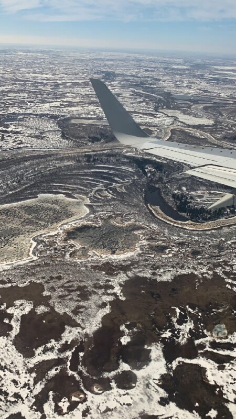 Contest "Love to Fly" - Final Contest "Love to Fly" - Final