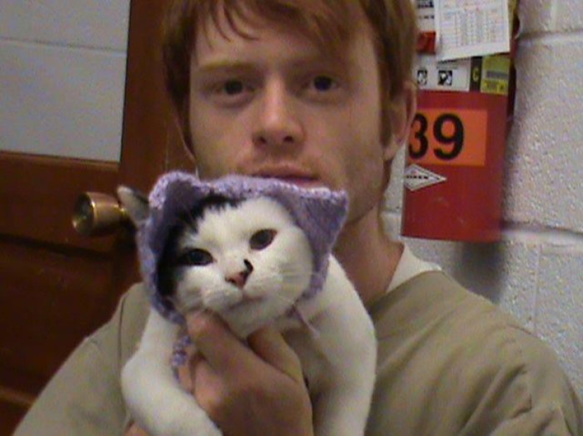 Convictos y kotans: se ha lanzado un nuevo programa de rehabilitación de presos en los Estados Unidos