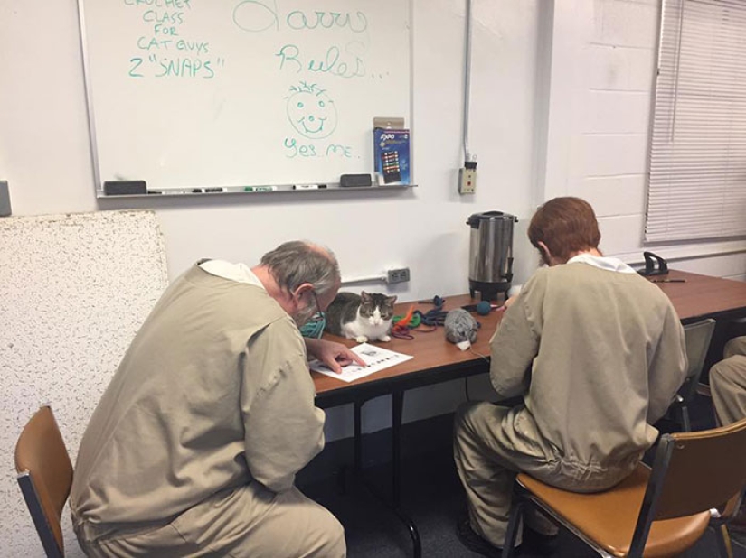 Convicts and kotans: a new prisoner rehabilitation program has been launched in the States Convicts and kotans: a new prisoner rehabilitation program has been launched in the States