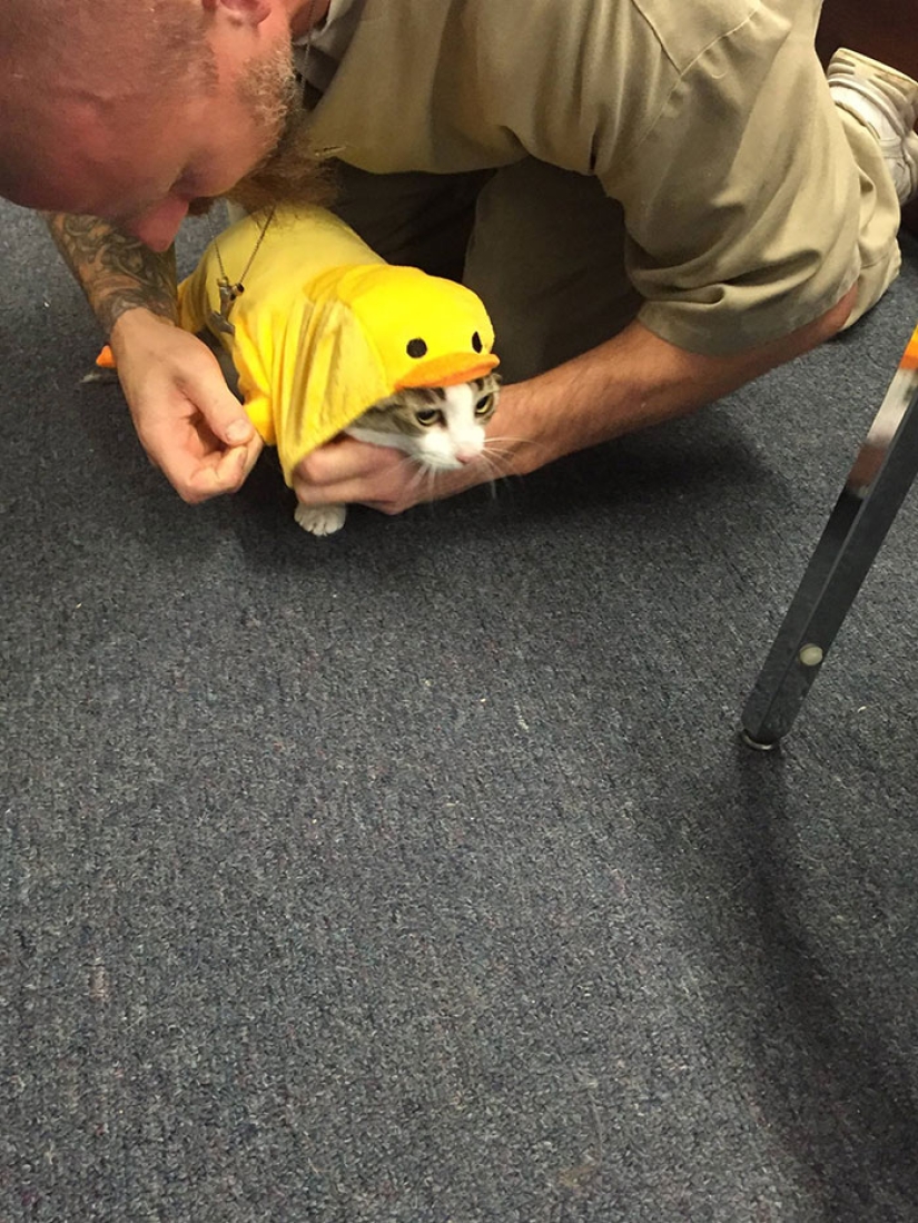 Convicts and kotans: a new prisoner rehabilitation program has been launched in the States Convicts and kotans: a new prisoner rehabilitation program has been launched in the States