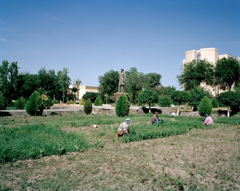 Cotton and wilderness: images of British photographer, a charmed Uzbekistan