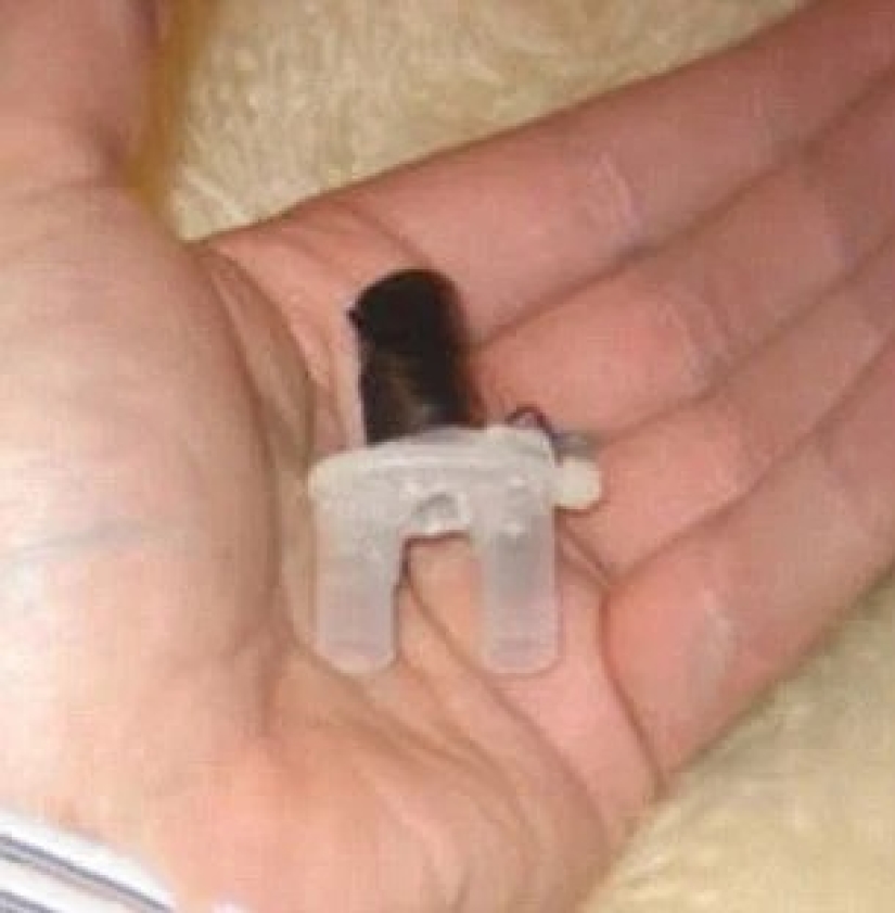 Cyborgs Vivos: Biohackers Ricos que quieren convertirse en Superhumanos