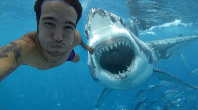 Deadly photos: In six years, 259 people have died trying to take a beautiful selfie