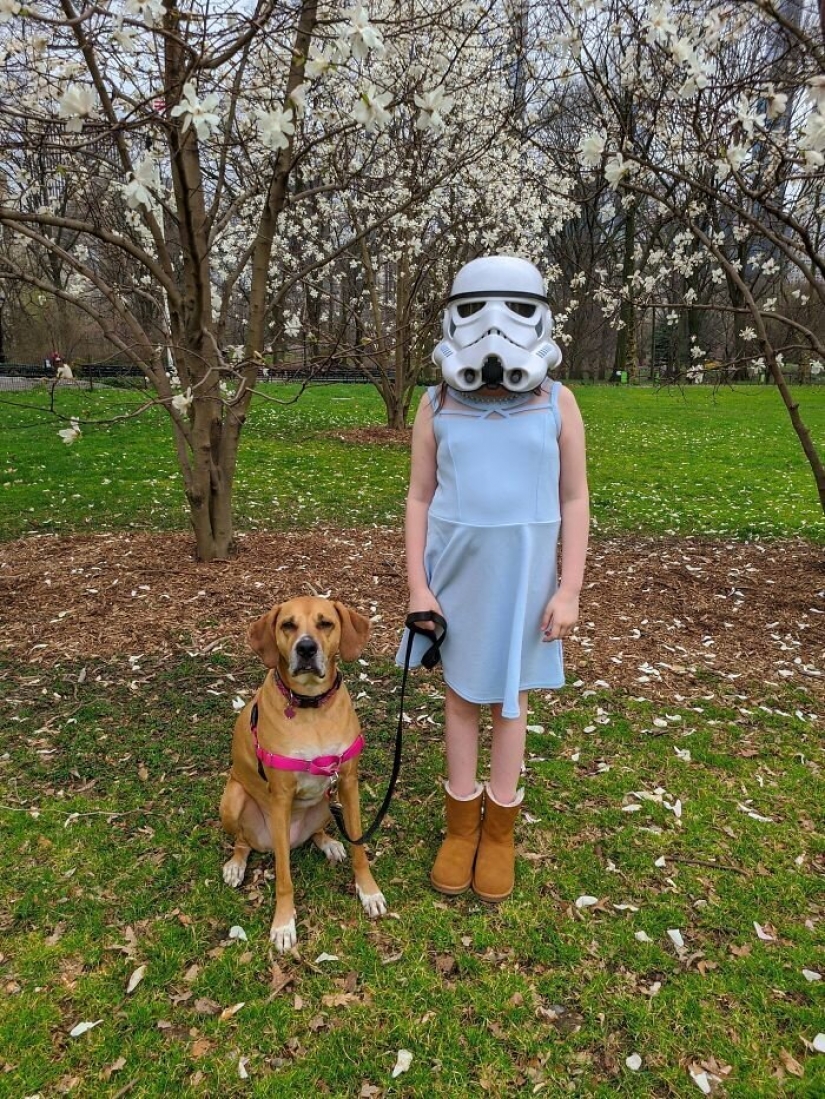 Defend ourselves as best we can: destructive and ludicrous methods of protection against coronavirus