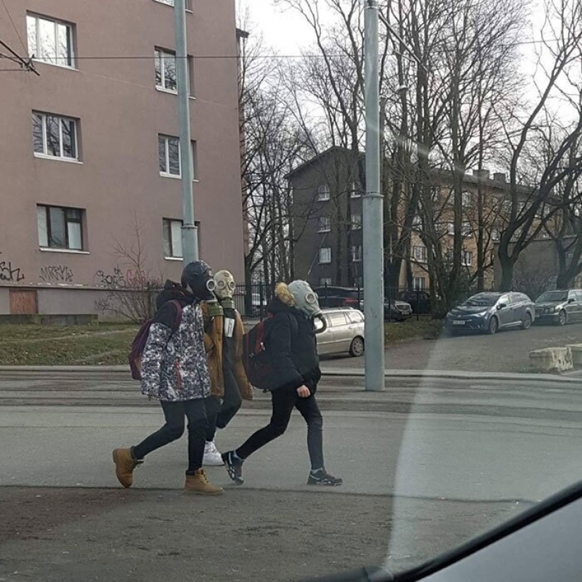 Defend ourselves as best we can: destructive and ludicrous methods of protection against coronavirus