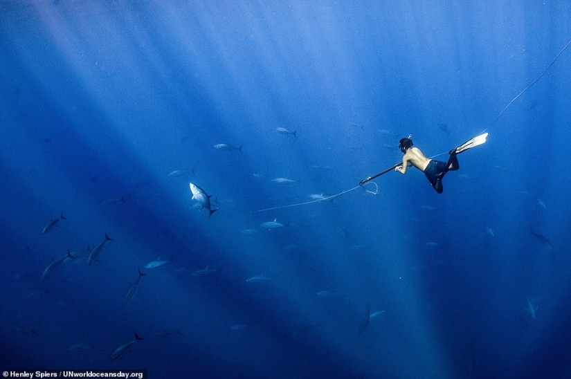 Destacada fotografía impresionante ganadora del concurso de fotografía del Día Mundial de los Océanos de la ONU
