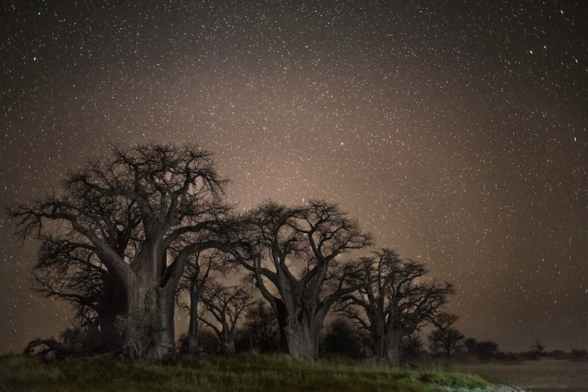 Diamond nights Diamond nights