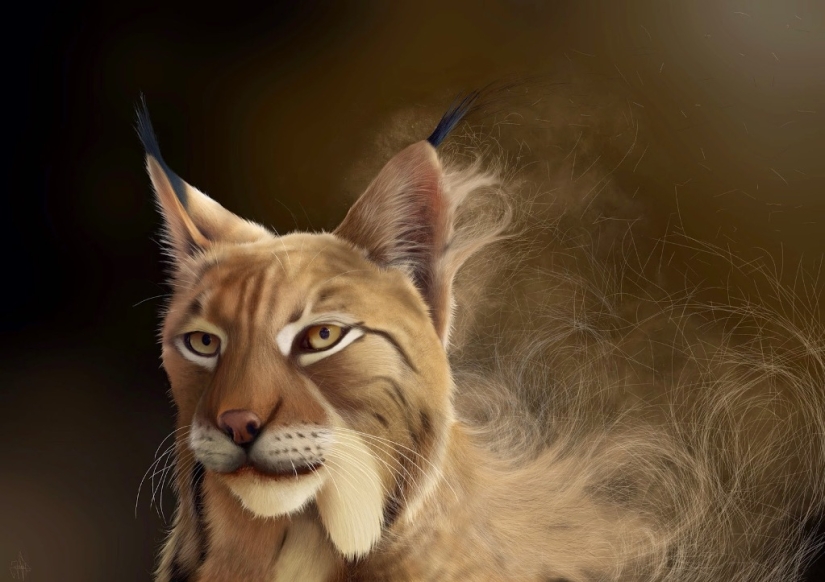 Dibujado en una tableta