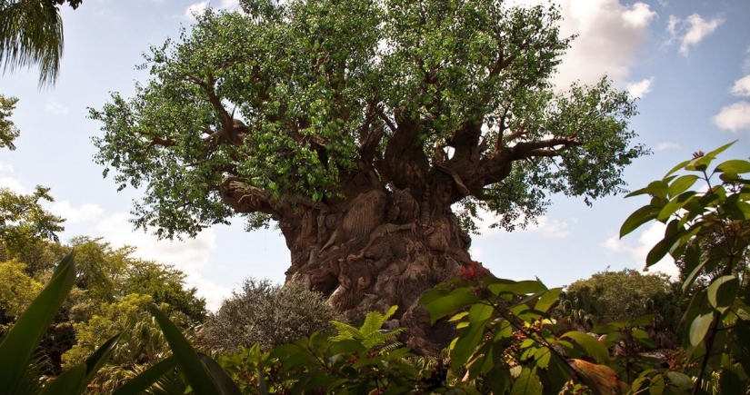 Disneyland es un mundo mágico donde los adultos se convierten en niños