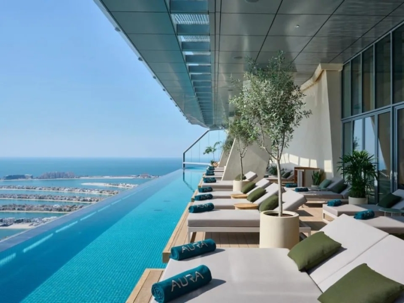 Diving into luxury: Dubai has opened the world's tallest swimming pool Diving into luxury: Dubai has opened the world's tallest swimming pool