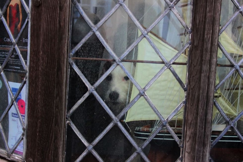 Do you want to spend the night in the house of Harry Potter? Airbnb to help! Do you want to spend the night in the house of Harry Potter? Airbnb to help!