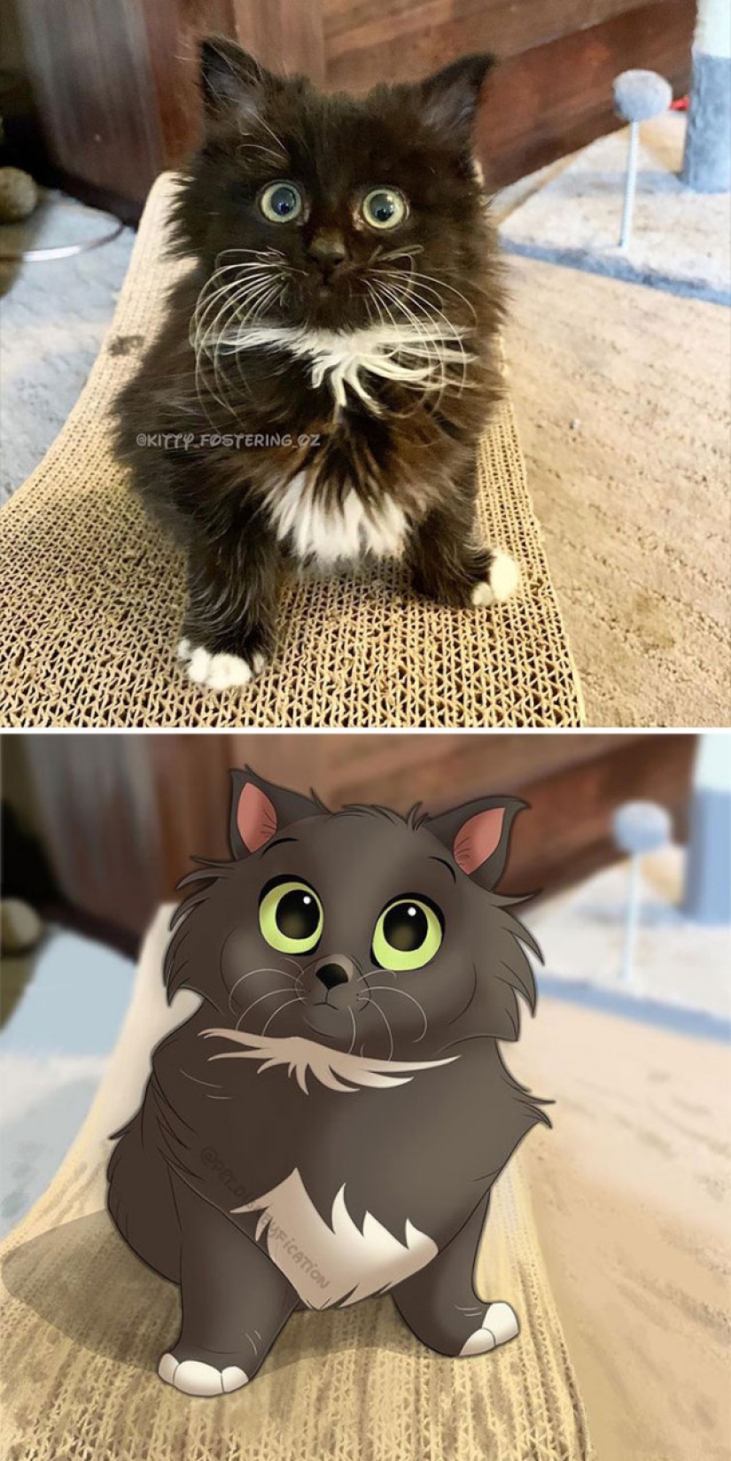 Dutch artist turns animals into Disney characters