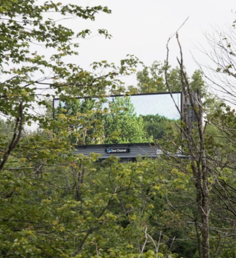 El artista compró una enorme valla publicitaria para mostrar la belleza de la naturaleza.