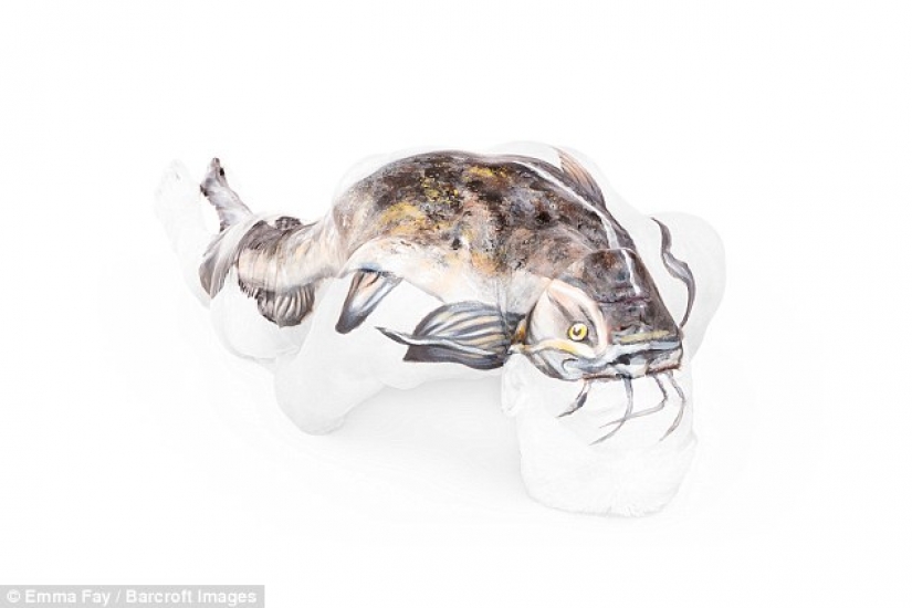 El artista convierte cuerpos desnudos en ilusiones ópticas con animales salvajes El artista convierte cuerpos desnudos en ilusiones ópticas con animales salvajes