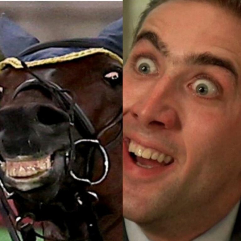 El drama olímpico con un caballo sonriente y un jinete llorando ha generado una ola de memes El drama olímpico con un caballo sonriente y un jinete llorando ha generado una ola de memes