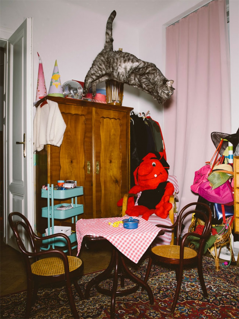 El fotógrafo austríaco toma un vuelo de gatos El fotógrafo austríaco toma un vuelo de gatos