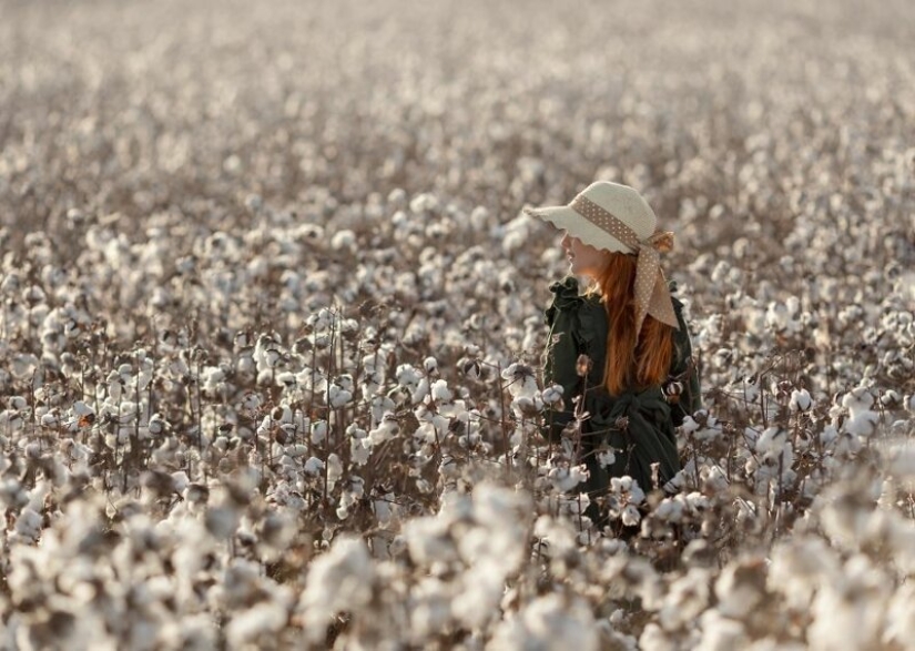 El fotógrafo ha creado un cuento a sus hijas El fotógrafo ha creado un cuento a sus hijas