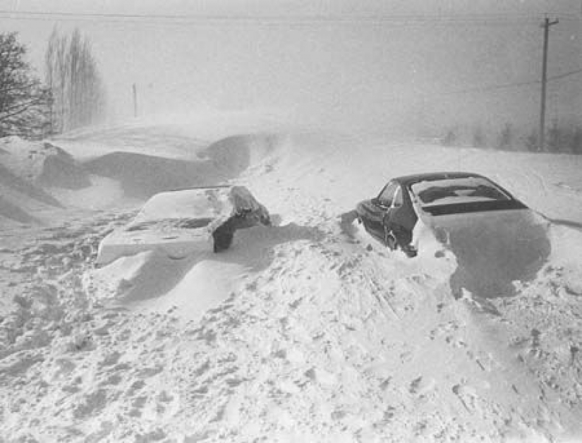 El frenesí de la nieve: el peor tormenta de nieve en la historia, matando a 4 miles de vidas El frenesí de la nieve: el peor tormenta de nieve en la historia, matando a 4 miles de vidas