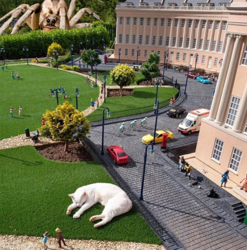 El gato se quedó dormido en la exposición de miniaturas y se despertó con un meme de la red