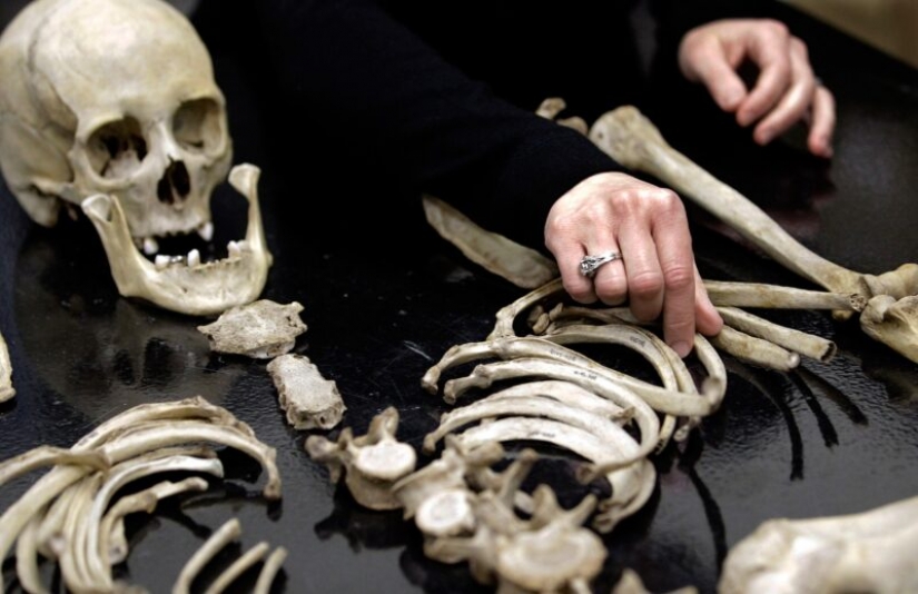 El hombre de las partes: ¿cuánto es nuestro cuerpo, desmontado donantes de órganos El hombre de las partes: ¿cuánto es nuestro cuerpo, desmontado donantes de órganos