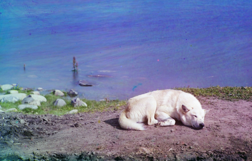 El Imperio ruso en fotografías a color de Sergei Prokudin-Gorsky