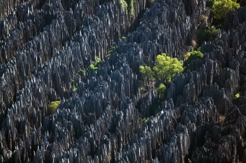 El legendario proyecto fotográfico "La Tierra vista desde el cielo"