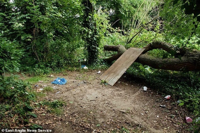 El lituano, que se creía que había muerto, se escondió en el bosque inglés durante cinco años El lituano, que se creía que había muerto, se escondió en el bosque inglés durante cinco años