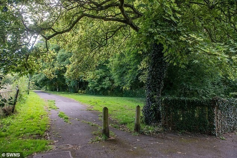 El lituano, que se creía que había muerto, se escondió en el bosque inglés durante cinco años El lituano, que se creía que había muerto, se escondió en el bosque inglés durante cinco años