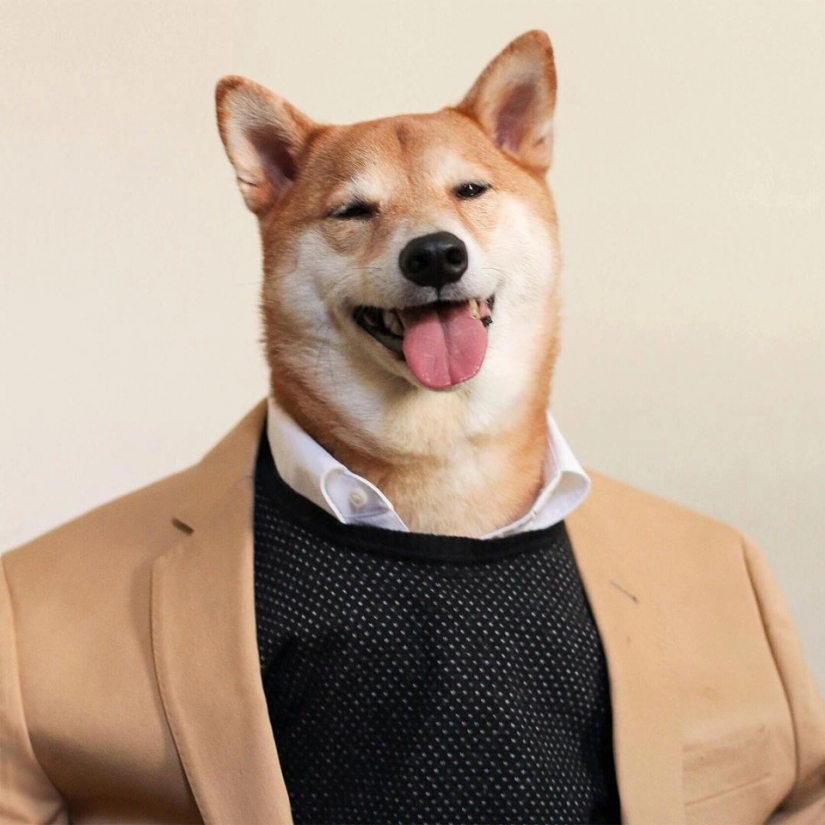 El peludo estrellas de Instagram: Mascotas, que los propietarios de ganar en las redes sociales un montón de dinero