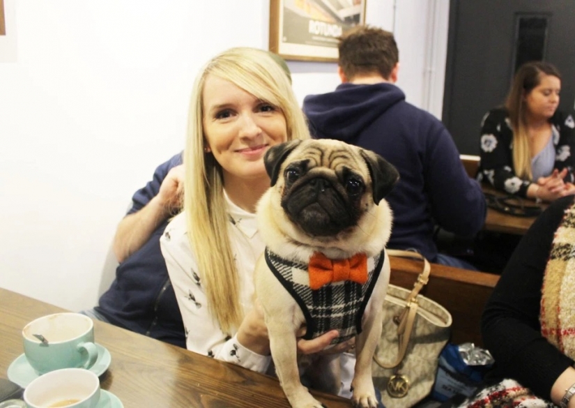 El peludo estrellas de Instagram: Mascotas, que los propietarios de ganar en las redes sociales un montón de dinero