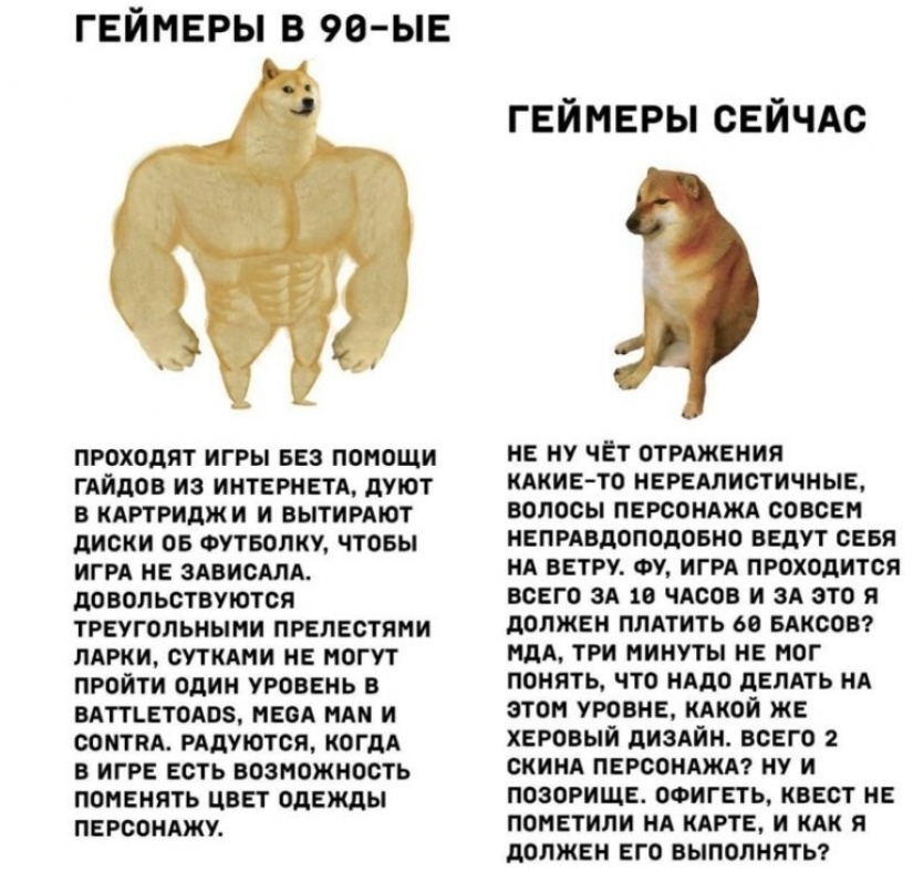Emocional Shiba inu se convirtió en una estrella de memes sobre la diferencia de las generaciones