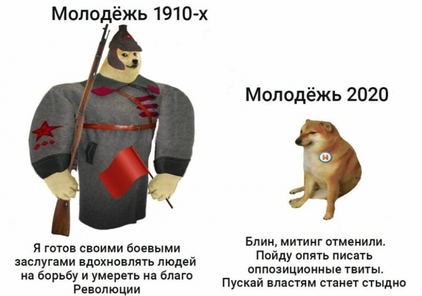 Emocional Shiba inu se convirtió en una estrella de memes sobre la diferencia de las generaciones