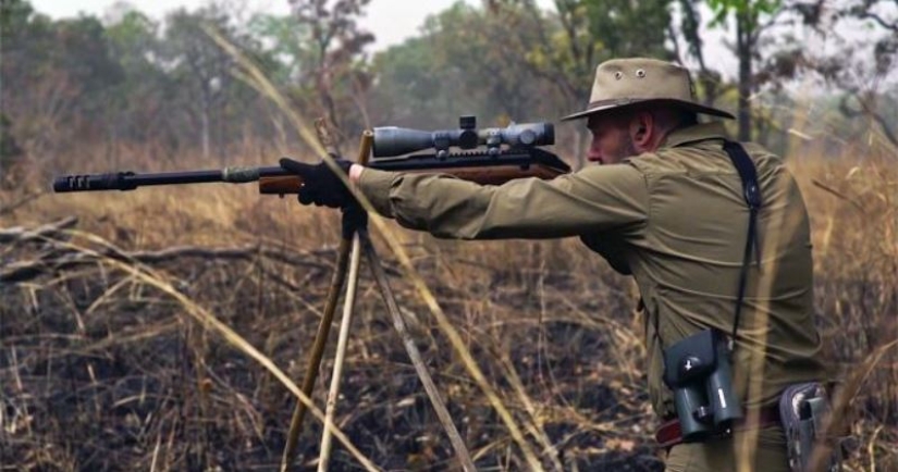 En Australia, van a matar a 11 mil caballos para salvar la naturaleza En Australia, van a matar a 11 mil caballos para salvar la naturaleza