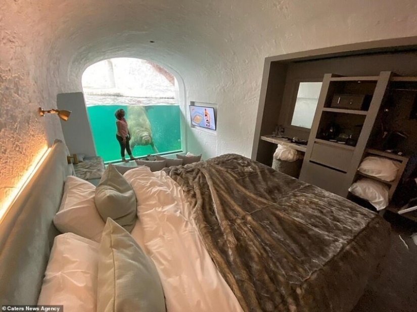 En el Belga zoológico abrió habitaciones con vistas a los animales salvajes