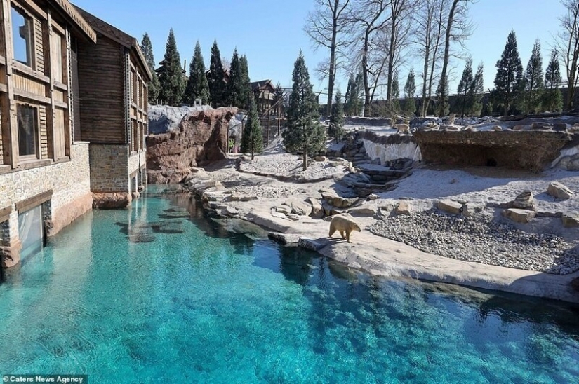 En el Belga zoológico abrió habitaciones con vistas a los animales salvajes