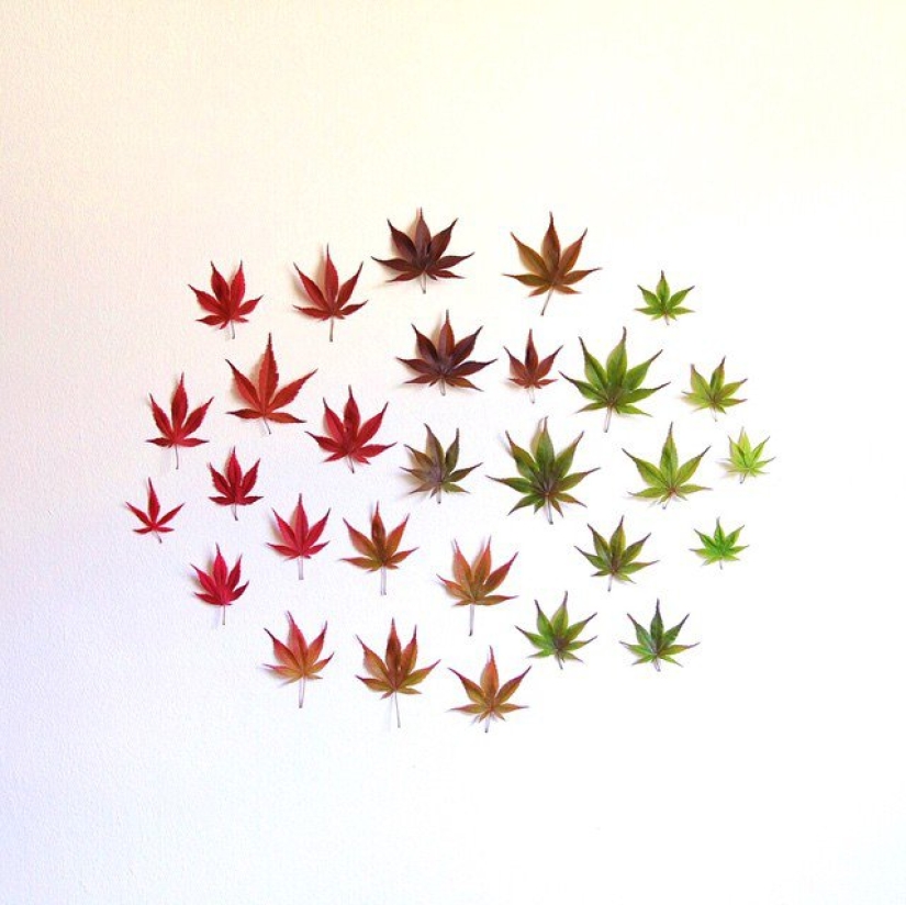 En el orden de las cosas