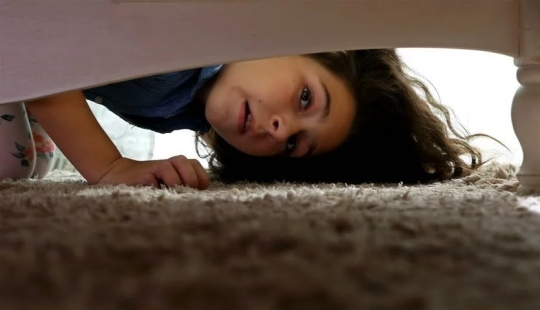 En los Estados Unidos, el videojuego más caro de la historia se vendió en una subasta