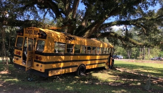 En Louisiana, un niño de 11 años robó un autobús escolar y lo estrelló contra un árbol En Louisiana, un niño de 11 años robó un autobús escolar y lo estrelló contra un árbol