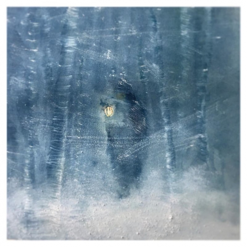 Entrañables ilustraciones Anastasia Grinenko Entrañables ilustraciones Anastasia Grinenko