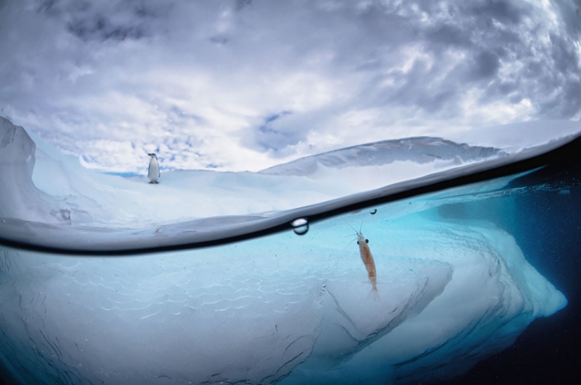 Entre dos mundos: en estos polupodvizhnym foto muestra lo que le espera detrás de la cortina de agua