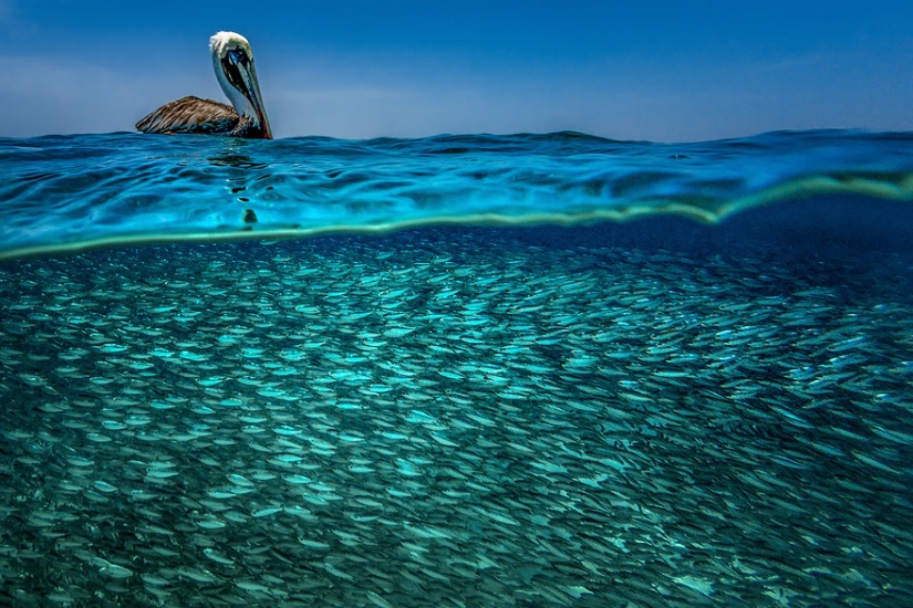 Entre dos mundos: en estos polupodvizhnym foto muestra lo que le espera detrás de la cortina de agua
