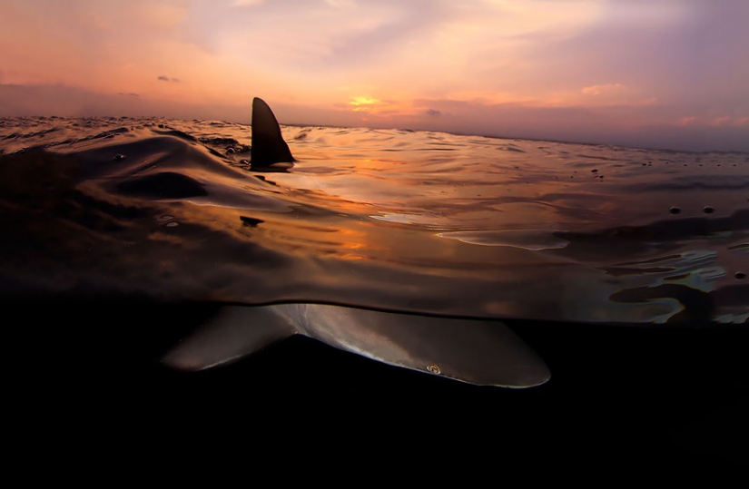 Entre dos mundos: en estos polupodvizhnym foto muestra lo que le espera detrás de la cortina de agua