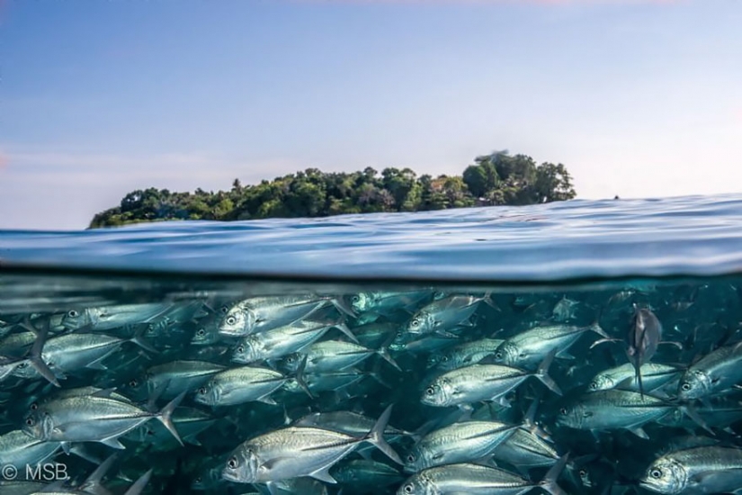 Entre dos mundos: en estos polupodvizhnym foto muestra lo que le espera detrás de la cortina de agua