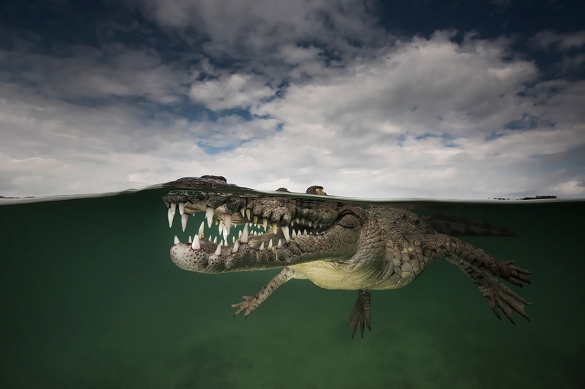 Entre dos mundos: en estos polupodvizhnym foto muestra lo que le espera detrás de la cortina de agua