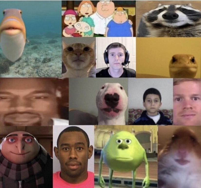 Es difícil: 19 ridículo y absurdo de los casos, las reuniones en línea durante la cuarentena Es difícil: 19 ridículo y absurdo de los casos, las reuniones en línea durante la cuarentena